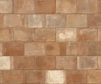 Керамогранит Imola Ceramica Trail18 TCOT TOS18 23 20х30