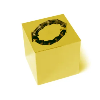 Контейнер с крышкой Bertocci Guccio 15хh17х15, золото 12649245000