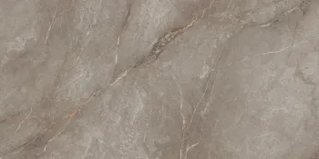 Керамогранит Neodom Marble Orobico Brown Polished 60x120 см N20483