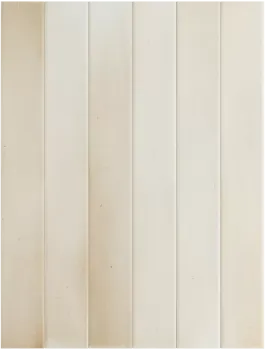 Плитка EQUIPE Massimo Almond 5x40 31571