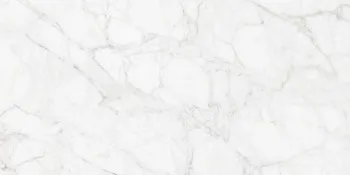 Керамогранит Neodom Luxury Carrara Giaola Polished 60x120 см N12045