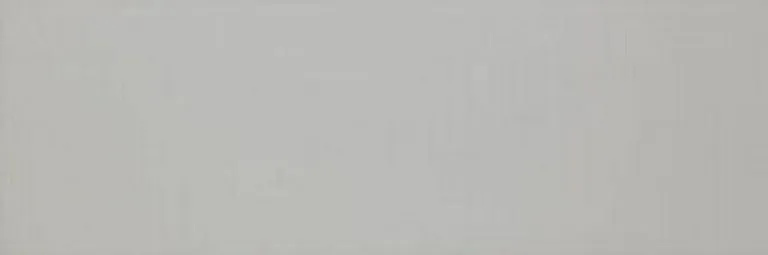 Плитка Colourline Grey MLDZ 22*66.2