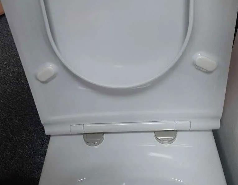 Сиденье для унитаза Jacob Delafon Rodin+ E23280-00 белое