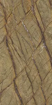 Керамогранит Casalgrande Padana Marmoker Brown Forest Honed 60х120 12460301