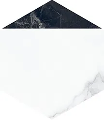 Керамогранит Villeroy&Boch 2043ZN1P Декор Nocturne White FLPR 20х23