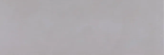 Плитка MJ2U Concreta Lava 32.5x97.7