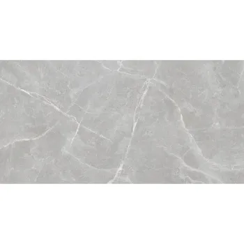 Плитка Staro Silk 60х120 Patricia Grey 60x120 Matt м2