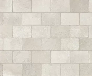 Керамогранит Imola Ceramica Trail18 MXST BIA18 23 20х30