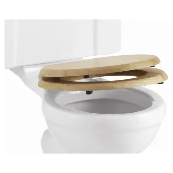 Сиденье для унитаза Burlington S16 золото