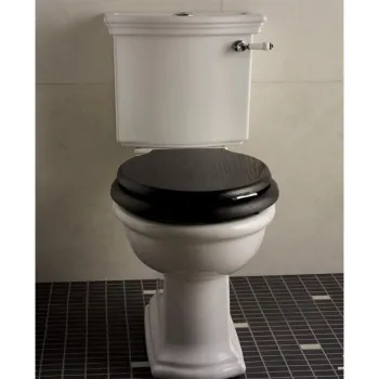 Бачок унитаза моноблока Devon&Devon New Etoile белый IBCZNET