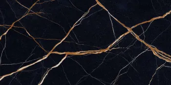 Керамогранит Provenza Unique Marble Sahara Noir 601200.95 Silktech