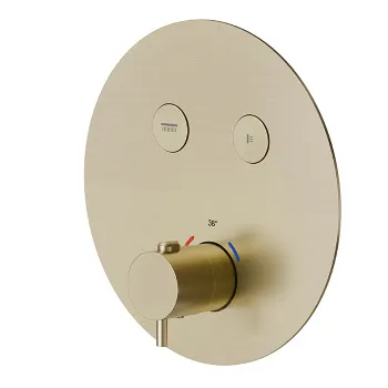 Смеситель для душа термостат Newform X-steel 316 на 2 источника, переключение - кнопки, для 27751, PVD Brushed pale gold 70426EX.59.098