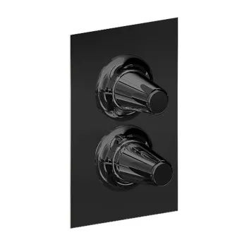 Смеситель встраиваемый термостатический для душа Cisal Vita 3 выхода, черный матовый VI0BT03040