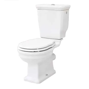 Унитаз моноблок Artceram Hermitage HEV008 01 00 bi слив в пол с креплением, белый/золото