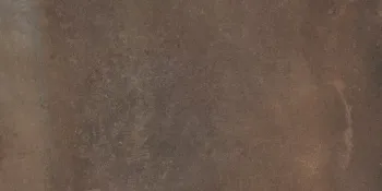 Керамогранит La Faenza Cottofaenza 36CT 30х60