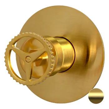 Смеситель для душа Remer Chrono  золото брашированное CH30LBG