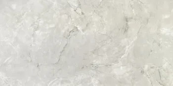 Керамогранит Neodom Sale Siena Grey TM 80x160 см N20449