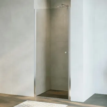 Душевая дверь RGW Dolphin распашная 90 см 54930309-11