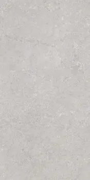 Керамогранит VARSOVIA GRIS RECT LAP+ 60x120
