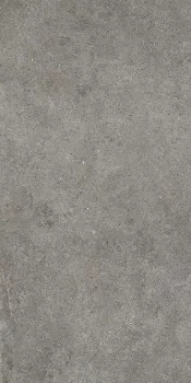 Керамогранит Imola Ceramica Walk 36DG 30х60