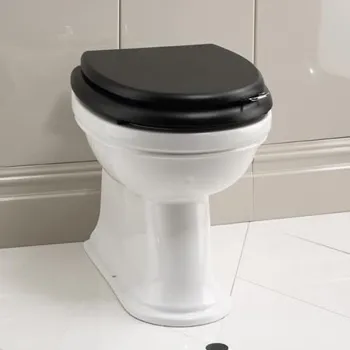 Унитаз напольный Devon&Devon Rose IBWCROSEBTW под встраиваемый бачок белый