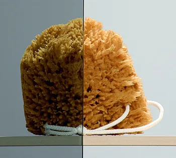 Душевой уголок Radaway Almatea KDJ 90 R 32102-01-05NR