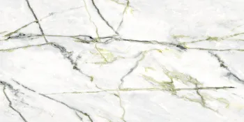 Керамогранит Neodom Sale Calacatta Green (Book) Polished 60x120 см N40012