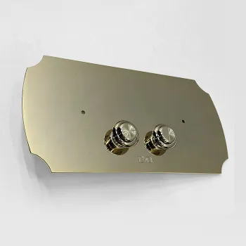 Смывная клавиша двойного смыва Devon&Devon для монтажных систем Geberit UP320 золото светлое DEPLOT