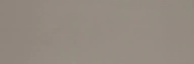 Плитка Colourline Taupe MLE2 22*66.2