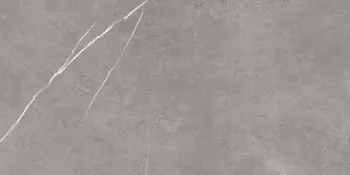 Керамогранит Atlas Concorde Russia Forte Dei Marmi Elegant Grey Honed Satin 60x120 см 610015000657
