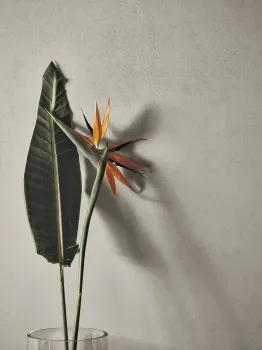 Керамогранит Refin Feel Warm 60x120x0.9 Matt