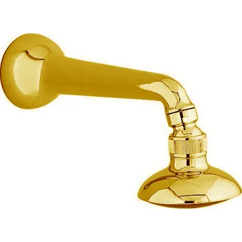 Душевая лейка для настенного крепления Cisal Arcana золото AR00154024