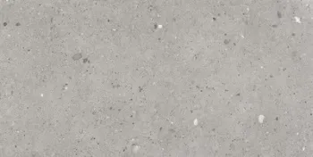 Керамогранит Provenza Ego EGP1 Grigio 60x120