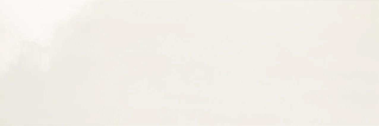 Плитка Imperfetto White MHE2 32,5*97,7