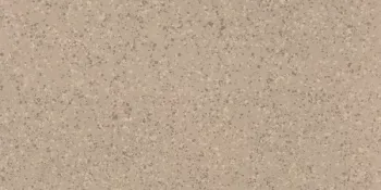 Керамогранит Imola Ceramica Parade PRDE 36B RM 30х60