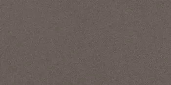 Керамогранит Imola Ceramica Parade PRTU 36DG RM 30х60