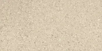 Керамогранит Imola Ceramica Parade PRDE 36W RM 30х60