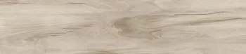 Керамогранит матовый Alma Ceramica Ashton 200x900 GFA92ATN40R