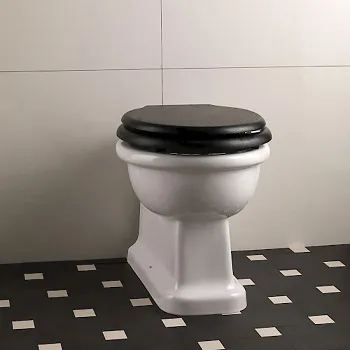 Унитаз напольный Devon&Devon Etolie IBWCETBTW под встраиваемый бачок белый