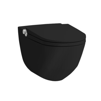 Унитаз-биде подвесной Laufen Cleanet Riva 8.2069.1.020.000.1 с пультом, черный
