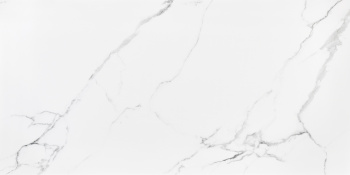 Керамогранит Neodom Classic Marble Mckinley Carving 60x120 см N20419