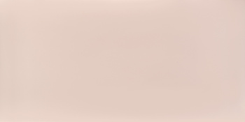 Керамогранит Mozart Rare & Unique French Matt 60x120 см N90001