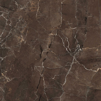 Керамогранит Mirage Granito JEWELS 60x60 emperador selected jw 05 luc