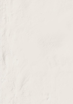Керамогранит Emil Forme Bianco Assoluto Silktech 80x80 9