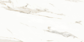 Керамогранит Neodom Sale Marmol Carrara Polished 60x120 см N12028