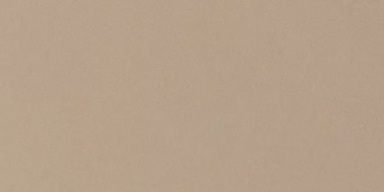 Керамогранит Imola Ceramica Parade PRTU 36B RM 30х60