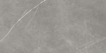 Керамогранит Atlas Concorde Russia Forte Dei Marmi Elegant Grey Matt 80x160 см 610010002710