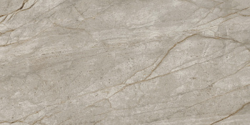 Керамогранит Atlas Concorde Russia Empire Silver Root 60x120 см 610010002187