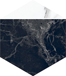 Керамогранит Villeroy&Boch 2043ZN9P Декор Nocturne Black FLPR 20х23