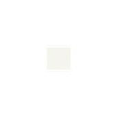 Керамическая вставка LaDiva Tozzetto Liscia Latte 2x2 Luc